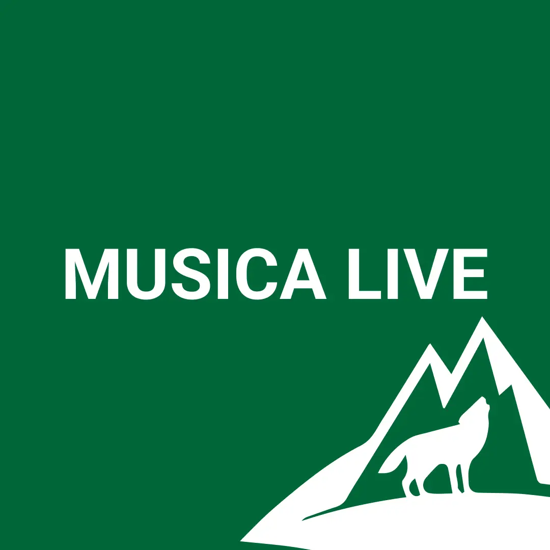 Musica live