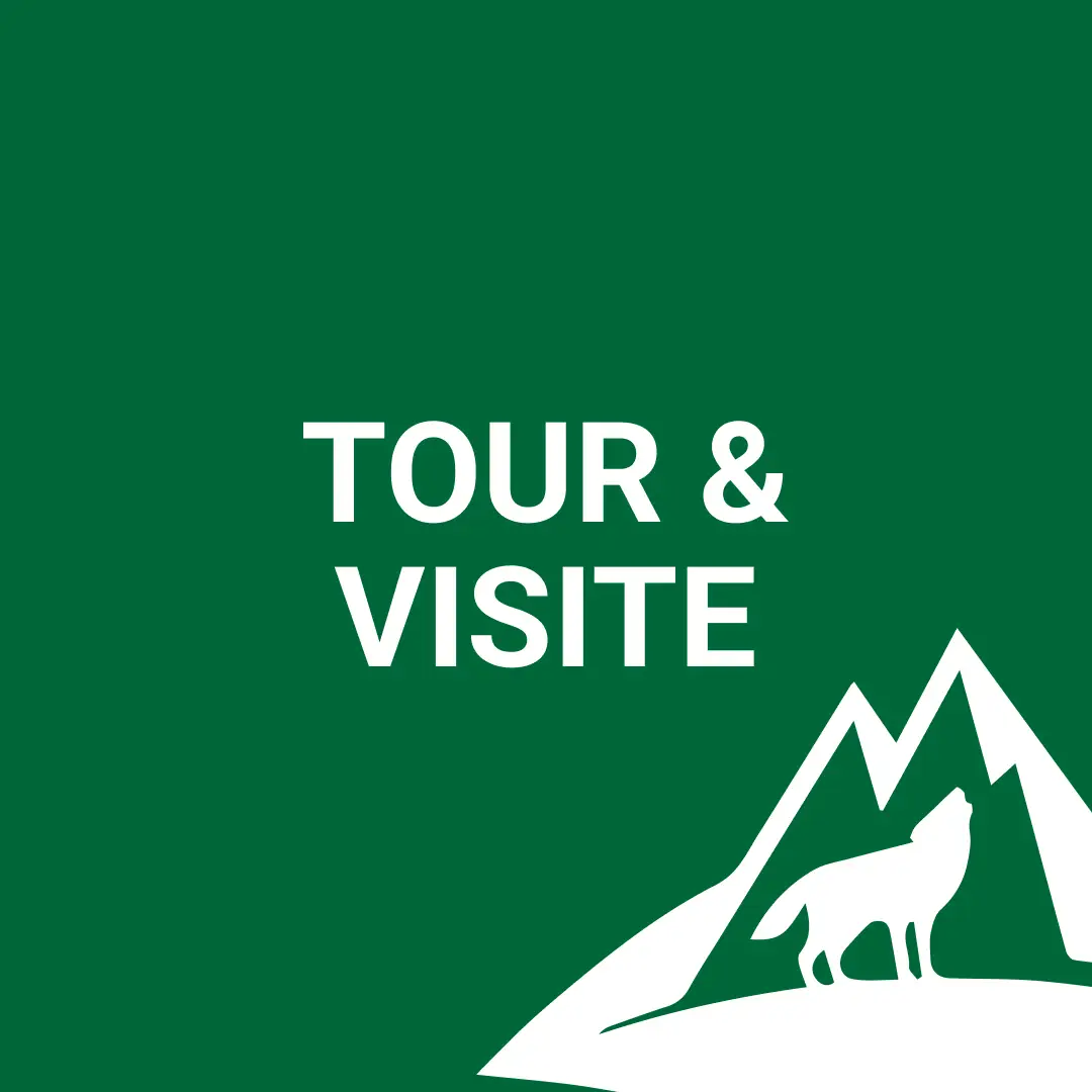 Tour&visite